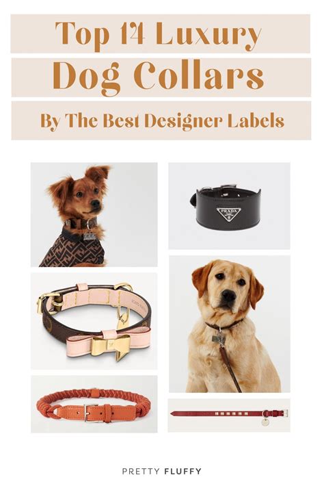 luxury dog collar brands.